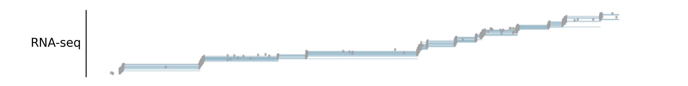 _images/plot_bam_collapsed_reads.png