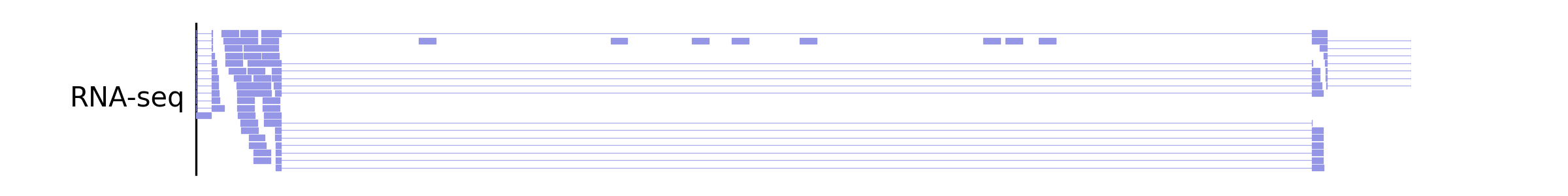 _images/plot_bam_spliced_reads.png