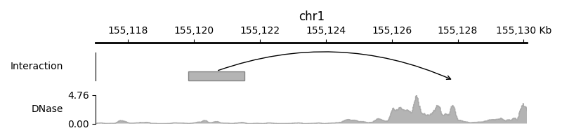 chr1