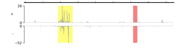 chr1