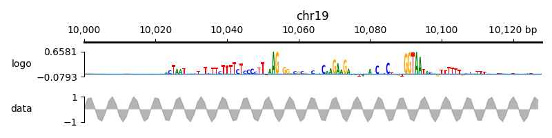 chr19