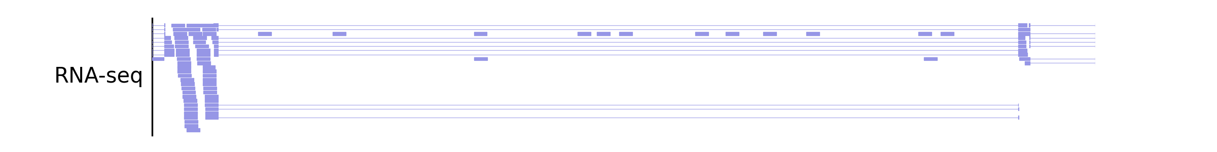 _images/plot_bam_spliced_reads.png